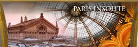 visita privata dei musei di parigi, Louvre, Orangerie, Versailles